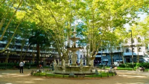 Plaza Matriz Montevideo