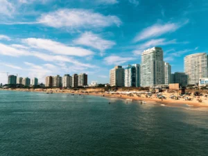 Punta del Este Full Day - Vista de la Playa Mansa